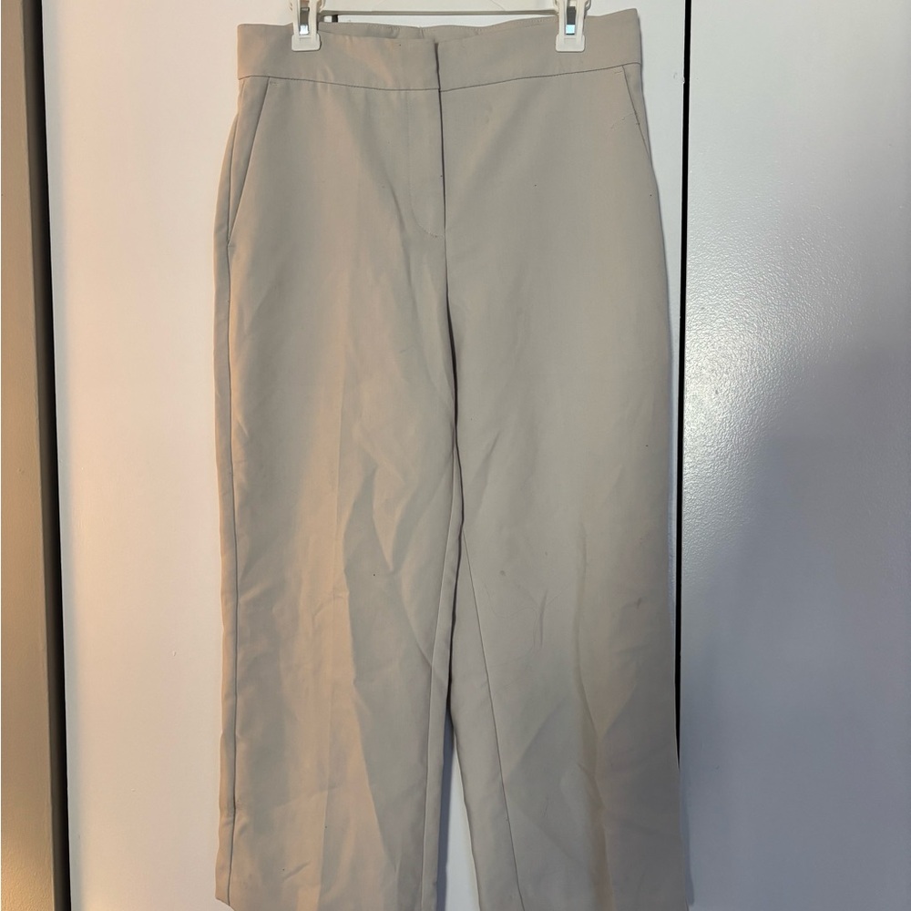 Ann Taylor tan tailored ankle pants.